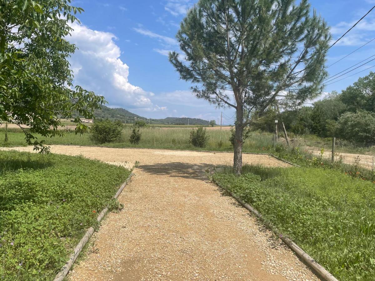 Sous Les Etoiles En Provence, Les Bambous Et Les Grands Chenes * Lurs