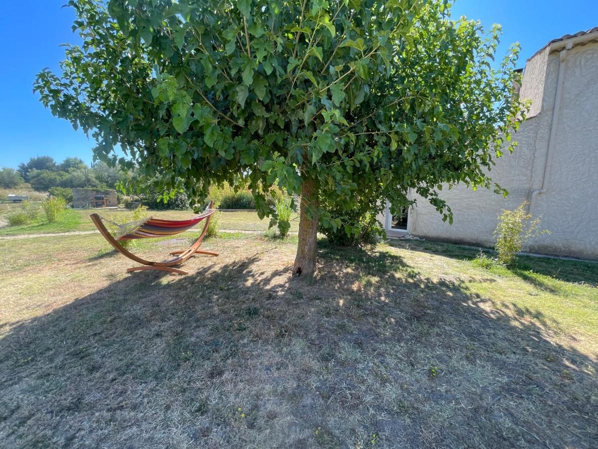 Sous Les Etoiles En Provence, Les Bambous Et Les Grands Chenes * Lurs