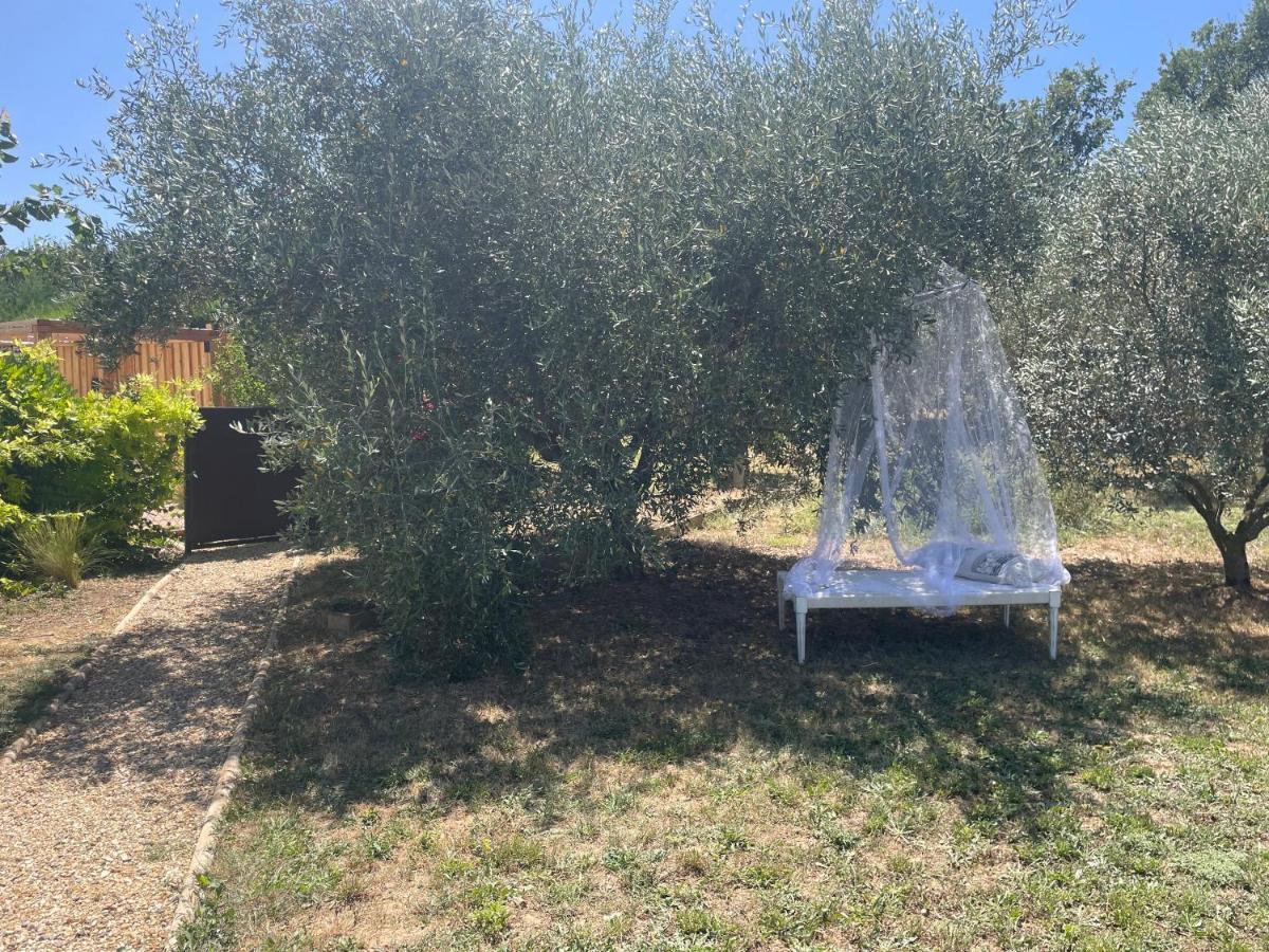 Hébergement de vacances Sous Les Etoiles En Provence, Les Bambous Et Les Grands Chenes *