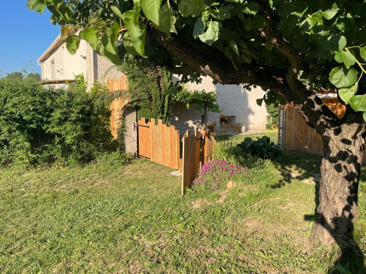 Sous Les Etoiles En Provence, Les Bambous Et Les Grands Chenes *