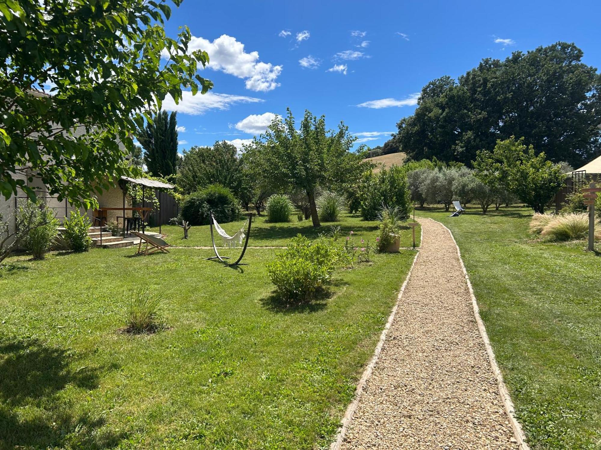 Sous Les Etoiles En Provence, Les Bambous Et Les Grands Chenes *